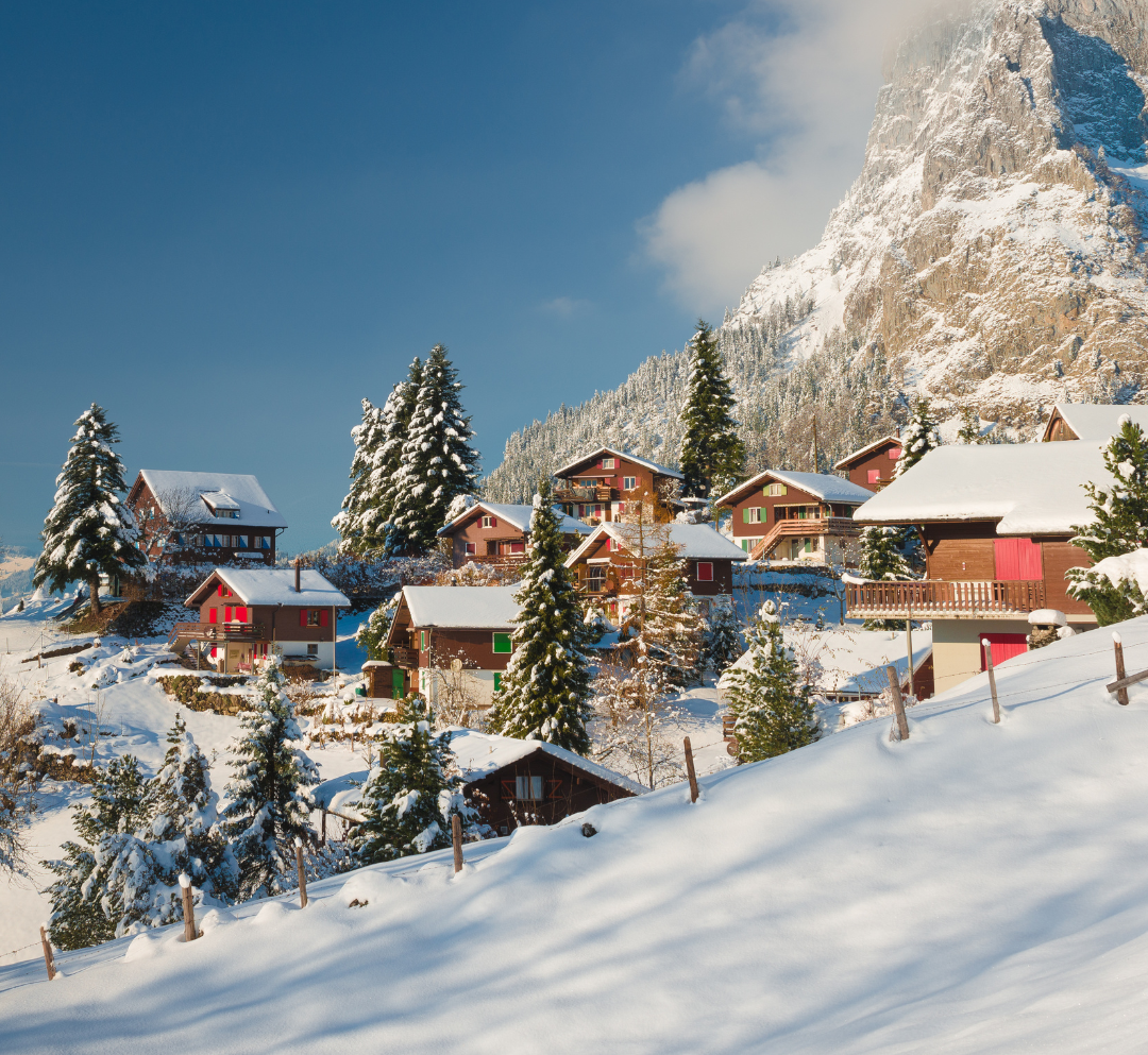 Winter Holidays 🎄​