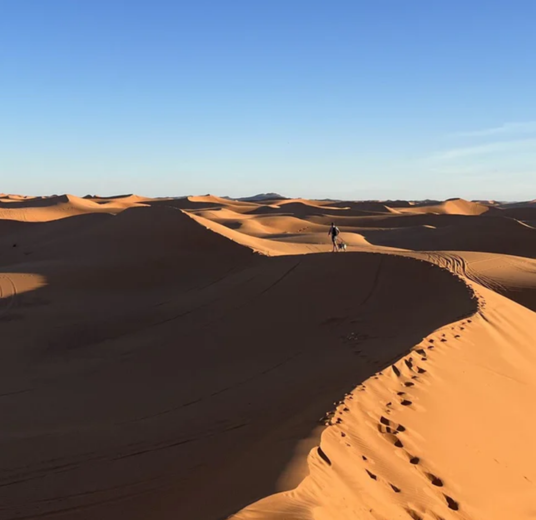 Conférence : De la Méditerranée au Sahara : mémoire, identité et imaginaires dans la littérature algérienne d’expression françai